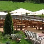 بيت ضيافة Fontana Špindlerŭv Mlýn